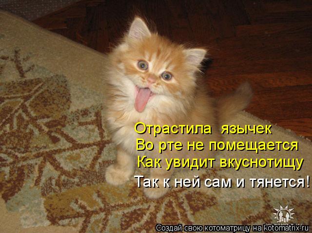 Отрастила язычек Во рте не помещается Как увидит вкуснотищу Так к ней сам и тянется!... Котоматрица: Отрастила язычек Во рте не помещается Как увидит вкуснотищу Так к ней сам и тянется!