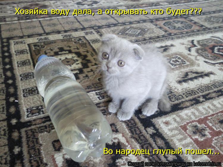 Хозяйка воду дала, а открывать кто будет??? Во народец глупый пошел... Во народец глупый пошел...... Котоматрица: Хозяйка воду дала, а открывать кто будет??? Во народец глупый пошел... Во народец глупый пошел...