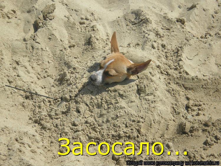Засосало...... Котоматрица: Засосало...