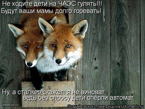 Не ходите дети на ЧАЭС гулять!!! Будут ваши мамы долго горевать! Ну, а сталкер скажет: я не виноват в... Котоматрица: Не ходите дети на ЧАЭС гулять!!! Будут ваши мамы долго горевать! Ну, а сталкер скажет: я не виноват ведь без спросу дети спёрли автомат