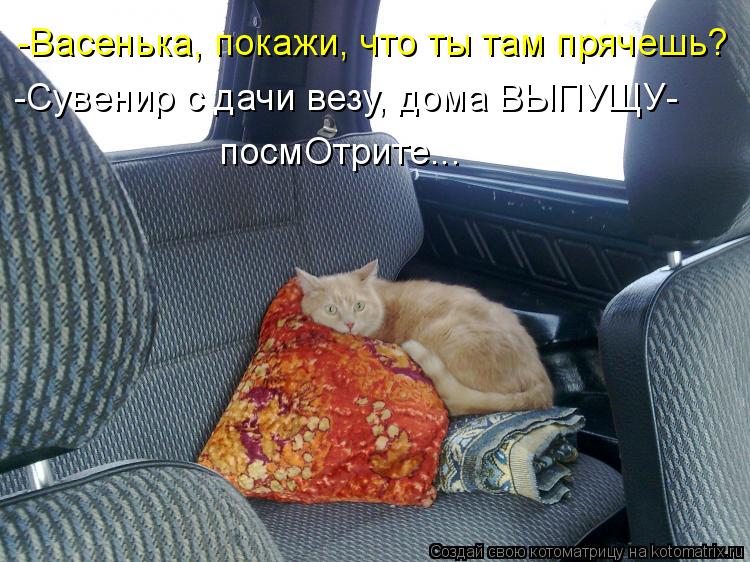 -Васенька, покажи, что ты там прячешь? -Сувенир с дачи везу, дома ВЫПУЩУ- посмОтрите...... Котоматрица: -Васенька, покажи, что ты там прячешь? -Сувенир с дачи везу, дома ВЫПУЩУ- посмОтрите...