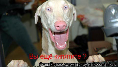 Вы ещё кипятите ?... Котоматрица: Вы ещё кипятите ?