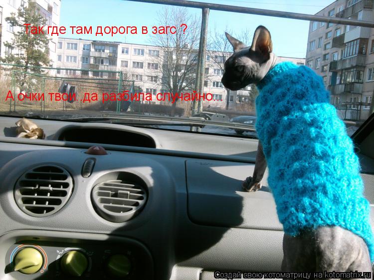 Так где там дорога в загс ? А очки твои..да разбила случайно...... Котоматрица: Так где там дорога в загс ? А очки твои..да разбила случайно...