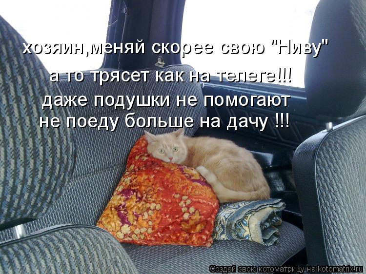 хозяин,меняй скорее свою "Ниву" а то трясет как на телеге!!! даже подушки не помогают не поеду больш... Котоматрица: хозяин,меняй скорее свою "Ниву" а то трясет как на телеге!!! даже подушки не помогают не поеду больше на дачу !!!