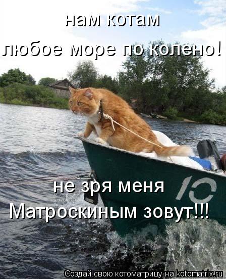 нам котам любое море по колено! не зря меня Матроскиным зовут!!!... Котоматрица: нам котам любое море по колено! не зря меня Матроскиным зовут!!!