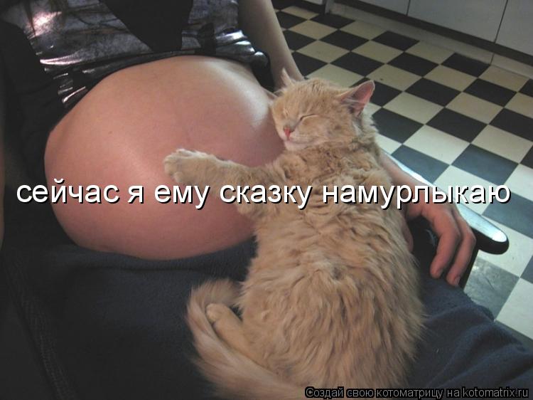 сейчас я ему сказку намурлыкаю... Котоматрица: сейчас я ему сказку намурлыкаю