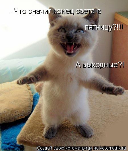 - Что значит конец света в пятницу?!!! А выходные?!... Котоматрица: - Что значит конец света в пятницу?!!! А выходные?!