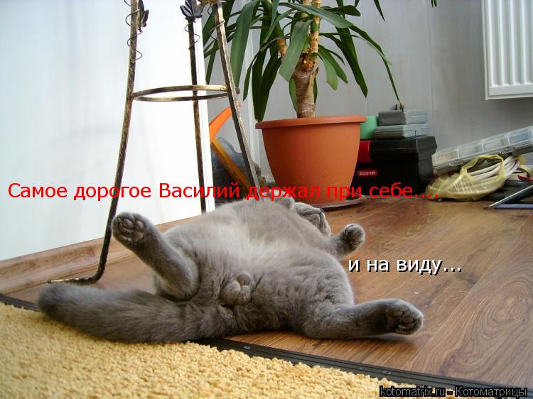 Самое дорогое Василий держал при себе.... и на виду...... Котоматрица: Самое дорогое Василий держал при себе.... и на виду...