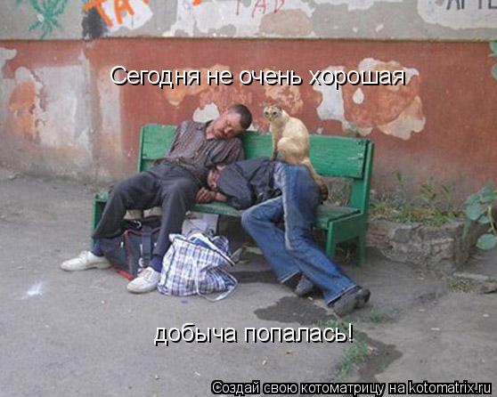 Сегодня не очень хорошая добыча попалась!... Котоматрица: Сегодня не очень хорошая добыча попалась!