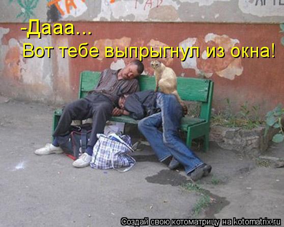 -Дааа... Вот тебе выпрыгнул из окна!... Котоматрица: -Дааа... Вот тебе выпрыгнул из окна!