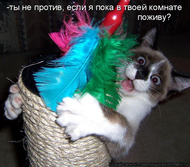 -ты не против, если я пока в твоей комнате поживу?... Котоматрица: -ты не против, если я пока в твоей комнате поживу?