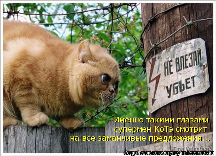 Именно такими глазами супермен КоТэ смотрит на все заманчивые предложения...... Котоматрица: Именно такими глазами супермен КоТэ смотрит на все заманчивые предложения...