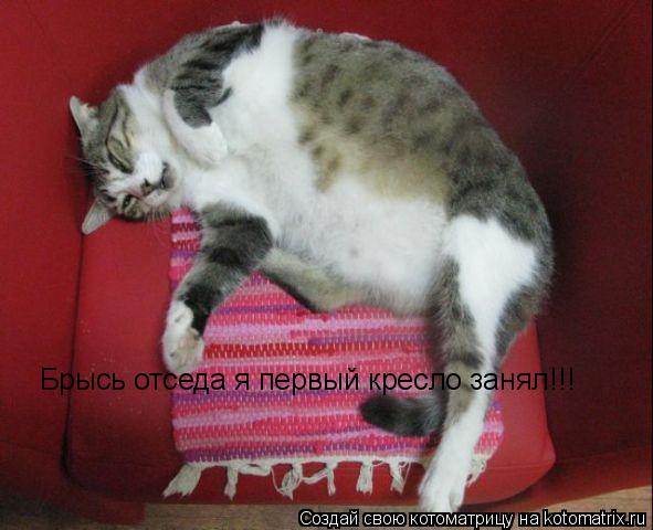 Брысь отседа я первый кресло занял!!!... Котоматрица: Брысь отседа я первый кресло занял!!!
