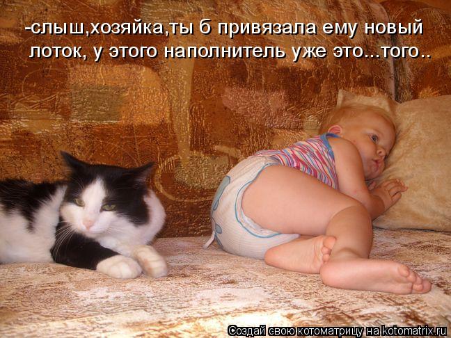 -слыш,хозяйка,ты б привязала ему новый лоток, у этого наполнитель уже это...того..... Котоматрица: -слыш,хозяйка,ты б привязала ему новый лоток, у этого наполнитель уже это...того..