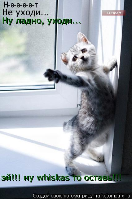 Н-е-е-е-е-т Не уходи... Ну ладно, уходи... эй!!! ну whiskas то оставь!!!... Котоматрица: Н-е-е-е-е-т Не уходи... Ну ладно, уходи... эй!!! ну whiskas то оставь!!!
