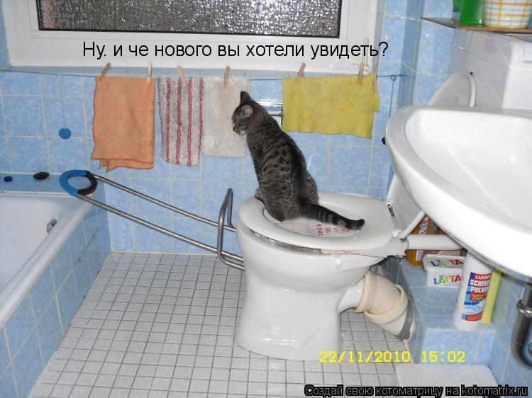 Ну. и че нового вы хотели увидеть?... Котоматрица: Ну. и че нового вы хотели увидеть?