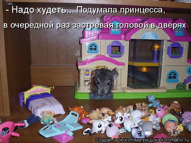 в очередной раз застревая головой в дверях Подумала принцесса, - Надо худеть...... Котоматрица: в очередной раз застревая головой в дверях Подумала принцесса, - Надо худеть...
