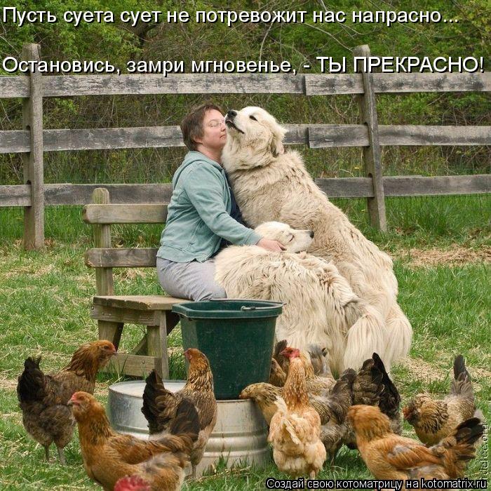 Остановись, замри мгновенье, - ТЫ ПРЕКРАСНО! Пусть суета сует не потревожит нас напрасно...... Котоматрица: Остановись, замри мгновенье, - ТЫ ПРЕКРАСНО! Пусть суета сует не потревожит нас напрасно...