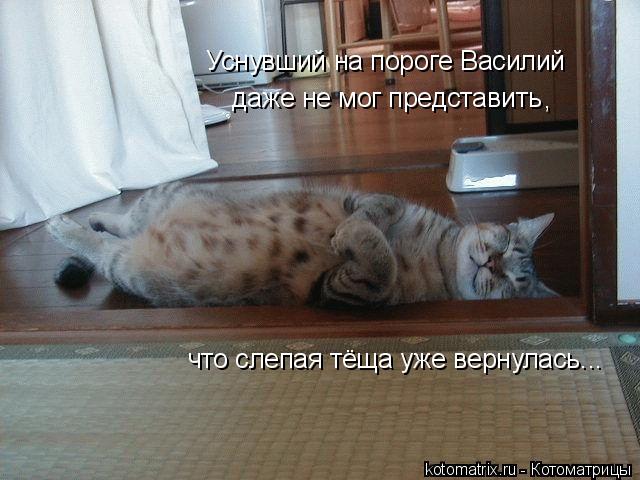 Уснувший на пороге Василий даже не мог представить , что слепая тёща уже вернулась...... Котоматрица: Уснувший на пороге Василий даже не мог представить , что слепая тёща уже вернулась...