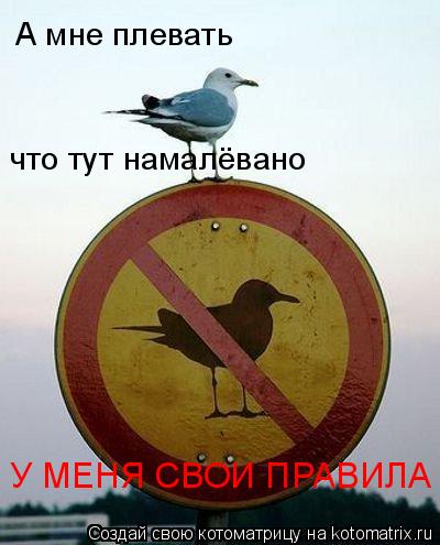 А мне плевать что тут намалёвано У МЕНЯ СВОИ ПРАВИЛА... Котоматрица: А мне плевать что тут намалёвано У МЕНЯ СВОИ ПРАВИЛА