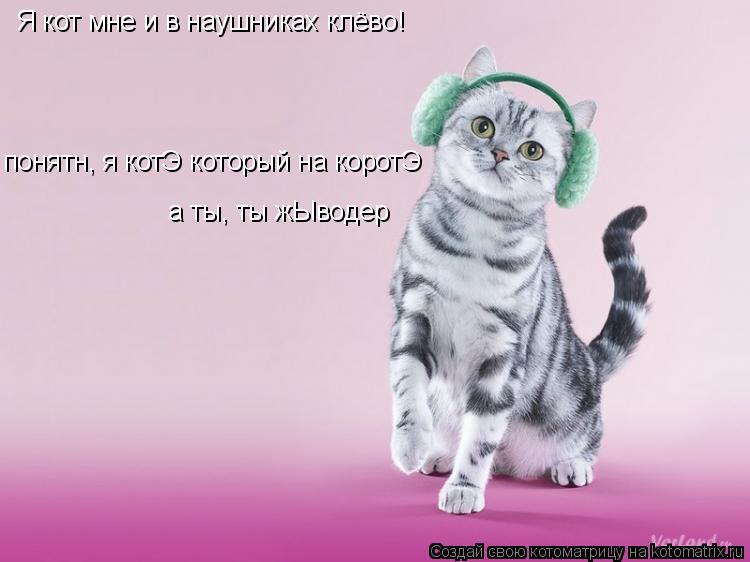 Я кот мне и в наушниках клёво! понятн, я котЭ который на коротЭ а ты, ты жЫводер... Котоматрица: Я кот мне и в наушниках клёво! понятн, я котЭ который на коротЭ а ты, ты жЫводер