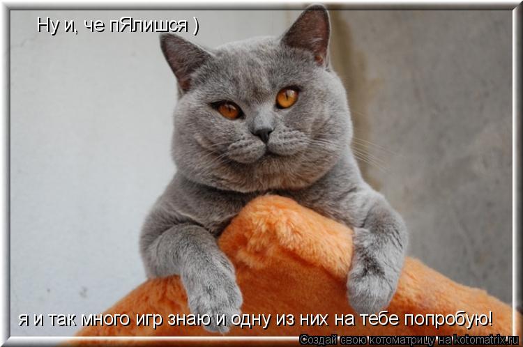 Ну и, че пЯлишся ) я и так много игр знаю и одну из них на тебе попробую!... Котоматрица: Ну и, че пЯлишся ) я и так много игр знаю и одну из них на тебе попробую!