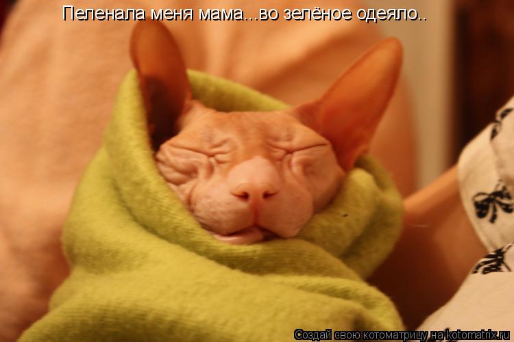 Пеленала меня мама...во зелёное одеяло..... Котоматрица: Пеленала меня мама...во зелёное одеяло..