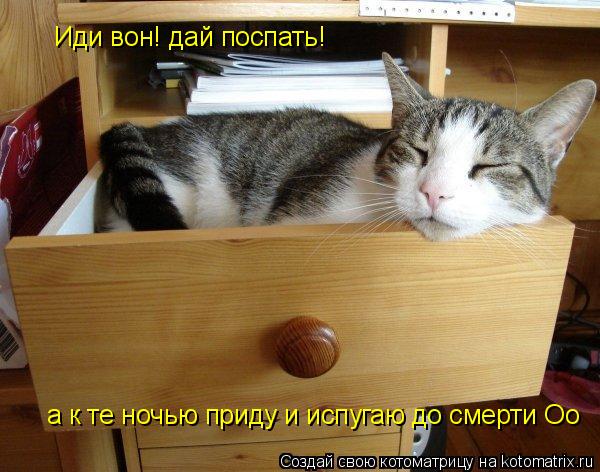 Иди вон! дай поспать! а к те ночью приду и испугаю до смерти Оо... Котоматрица: Иди вон! дай поспать! а к те ночью приду и испугаю до смерти Оо
