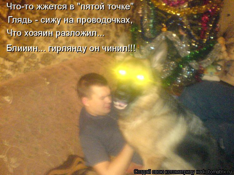 Что-то жжется в "пятой точке" Глядь - сижу на проводочках, Что хозяин разложил... Блииин... гирлянду ... Котоматрица: Что-то жжется в "пятой точке" Глядь - сижу на проводочках, Что хозяин разложил... Блииин... гирлянду он чинил!!!