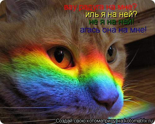 вау радуга на мне? иль я на ней? не я на ней! агась она на мне!... Котоматрица: вау радуга на мне? иль я на ней? не я на ней! агась она на мне!