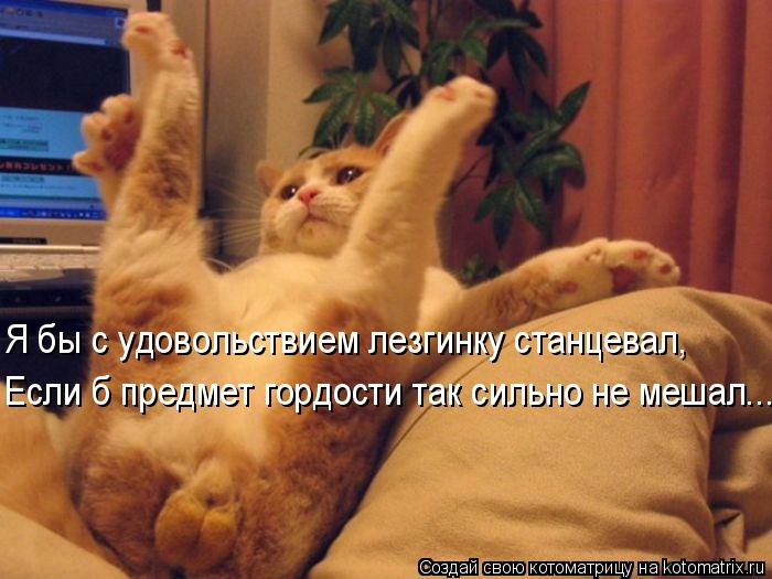 Я бы с удовольствием лезгинку станцевал, Если б предмет гордости так сильно не мешал...... Котоматрица: Я бы с удовольствием лезгинку станцевал, Если б предмет гордости так сильно не мешал...