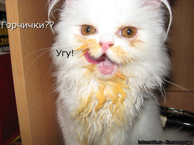 Горчички?? Угу!... Котоматрица: Горчички?? Угу!