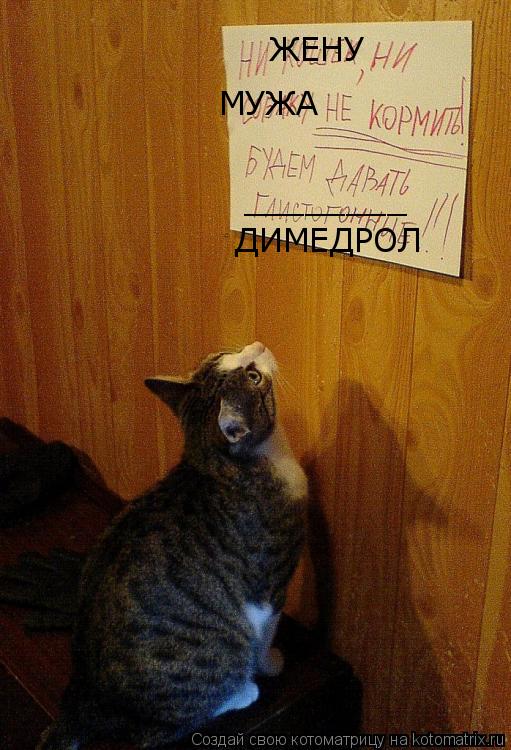 ЖЕНУ МУЖА ________ ДИМЕДРОЛ... Котоматрица: ЖЕНУ МУЖА ________ ДИМЕДРОЛ