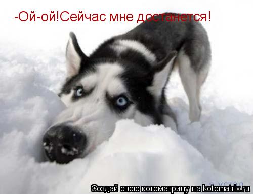 -Ой-ой!Сейчас мне достанется!... Котоматрица: -Ой-ой!Сейчас мне достанется!
