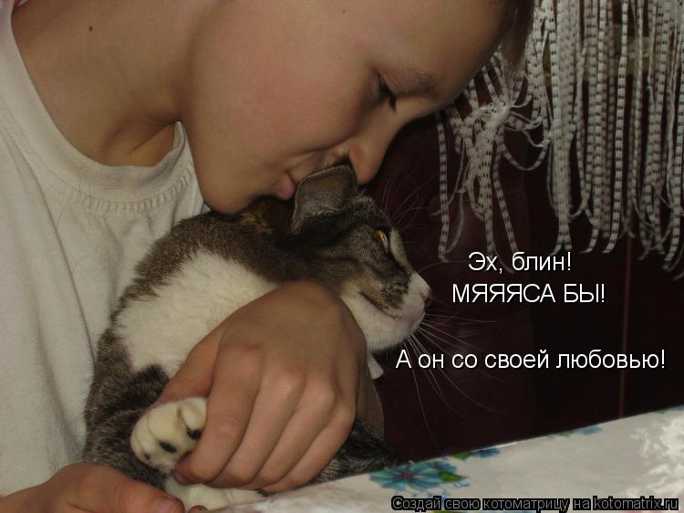 Эх, блин! МЯЯЯСА БЫ! А он со своей любовью!... Котоматрица: Эх, блин! МЯЯЯСА БЫ! А он со своей любовью!