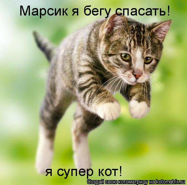 Марсик я бегу спасать! я супер кот!... Котоматрица: Марсик я бегу спасать! я супер кот!