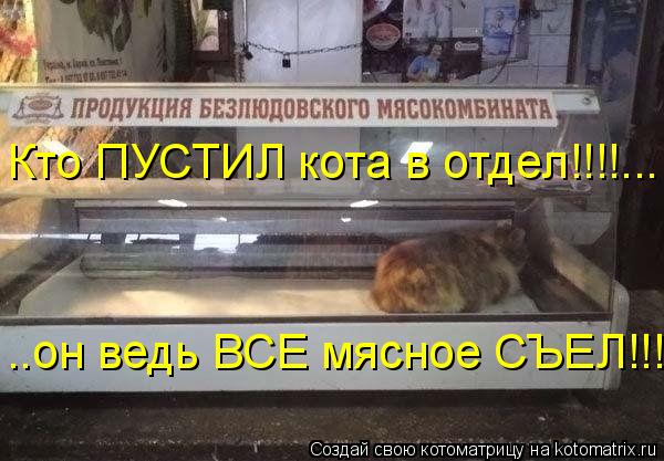 Кто ПУСТИЛ кота в отдел!!!!... ..он ведь ВСЕ мясное СЪЕЛ!!!!... Котоматрица: Кто ПУСТИЛ кота в отдел!!!!... ..он ведь ВСЕ мясное СЪЕЛ!!!!