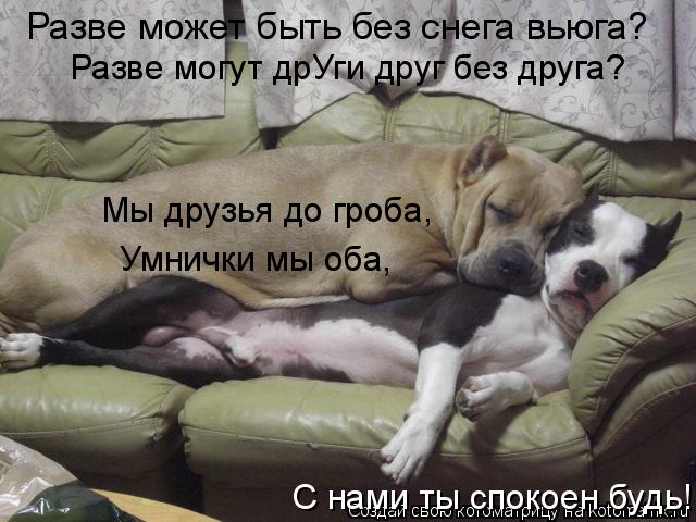Разве может быть без снега вьюга? Разве могут дрУги друг без друга? Мы друзья до гроба, Умнички мы о... Котоматрица: Разве может быть без снега вьюга? Разве могут дрУги друг без друга? Мы друзья до гроба, Умнички мы оба, С нами ты спокоен будь!