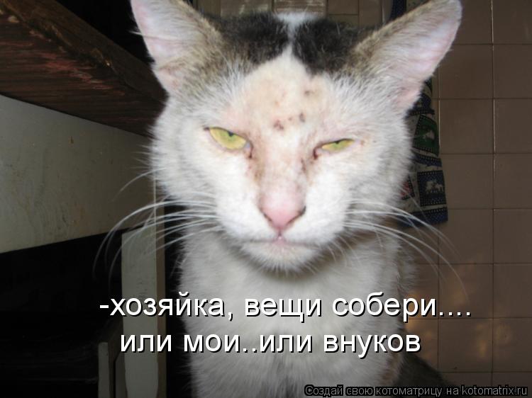 -хозяйка, вещи собери.... или мои..или внуков... Котоматрица: -хозяйка, вещи собери.... или мои..или внуков