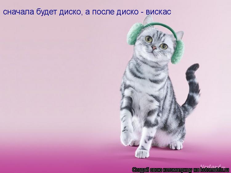 сначала будет диско, а после диско - вискас... Котоматрица: сначала будет диско, а после диско - вискас