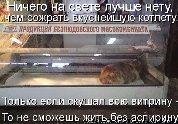 Ничего на свете лучше нету, чем сожрать вкуснейшую котлету. Только если скушал всю витрину - То не ... Котоматрица: Ничего на свете лучше нету, чем сожрать вкуснейшую котлету. Только если скушал всю витрину - То не сможешь жить без аспирину...