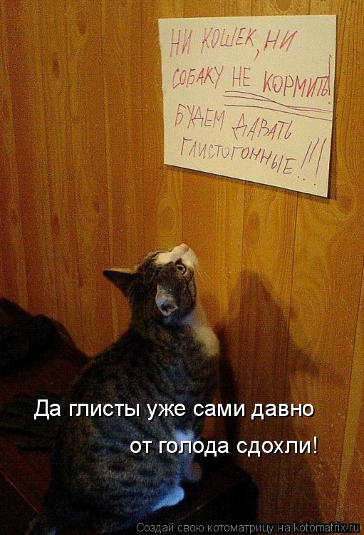 Да глисты уже сами давно от голода сдохли!... Котоматрица: Да глисты уже сами давно от голода сдохли!