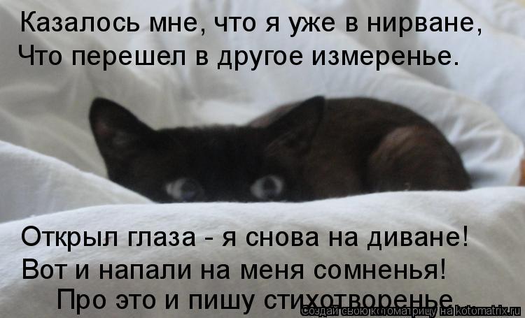 Казалось мне, что я уже в нирване, Что перешел в другое измеренье. Открыл глаза - я снова на диване!... Котоматрица: Казалось мне, что я уже в нирване, Что перешел в другое измеренье. Открыл глаза - я снова на диване! Вот и напали на меня сомненья! Про это и пи