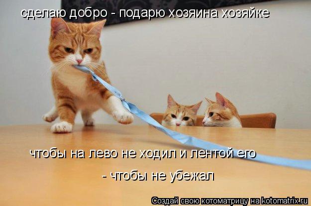сделаю добро - подарю хозяина хозяйке чтобы на лево не ходил и лентой его - чтобы не убежал... Котоматрица: сделаю добро - подарю хозяина хозяйке чтобы на лево не ходил и лентой его - чтобы не убежал