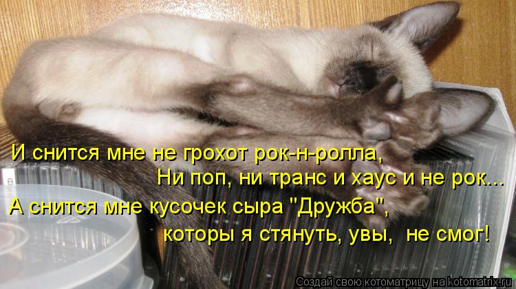 И снится мне не грохот рок-н-ролла, Ни поп, ни транс и хаус и не рок... А снится мне кусочек сыра "Др... Котоматрица: И снится мне не грохот рок-н-ролла, Ни поп, ни транс и хаус и не рок... А снится мне кусочек сыра "Дружба", которы я стянуть, увы, не смог!