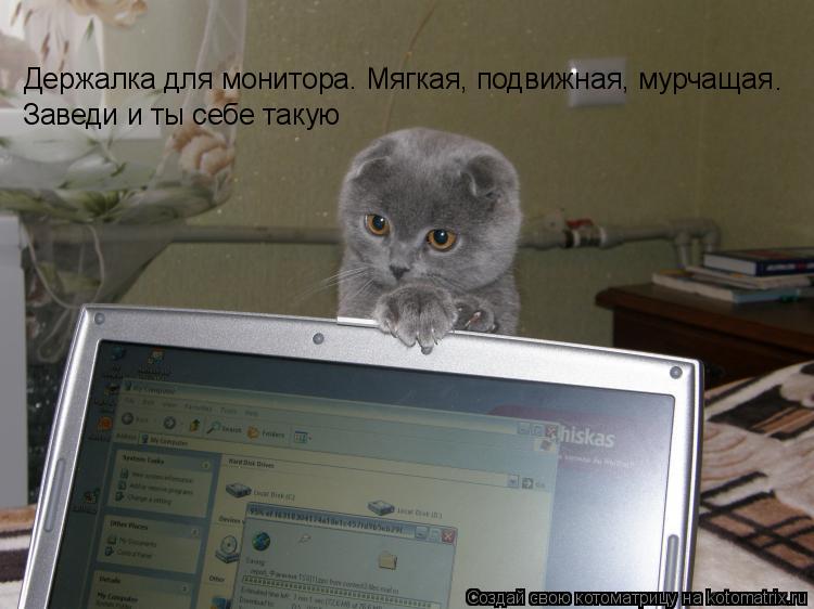 Держалка для монитора. Мягкая, подвижная, мурчащая Заведи и ты себе такую .... Котоматрица: Держалка для монитора. Мягкая, подвижная, мурчащая Заведи и ты себе такую .