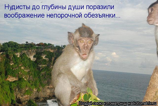 Нудисты до глубины души поразили воображение непорочной обезъянки...... Котоматрица: Нудисты до глубины души поразили воображение непорочной обезъянки...