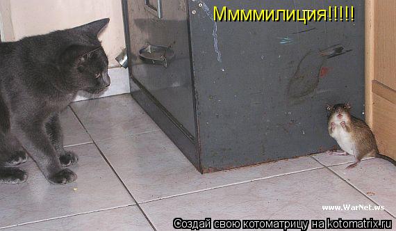 Ммммилиция!!!!!... Котоматрица: Ммммилиция!!!!!