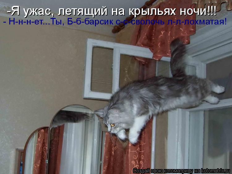 -Я ужас, летящий на крыльях ночи!!! - Н-н-н-ет...Ты, Б-б-барсик с-с-сволочь л-л-лохматая!... Котоматрица: -Я ужас, летящий на крыльях ночи!!! - Н-н-н-ет...Ты, Б-б-барсик с-с-сволочь л-л-лохматая!
