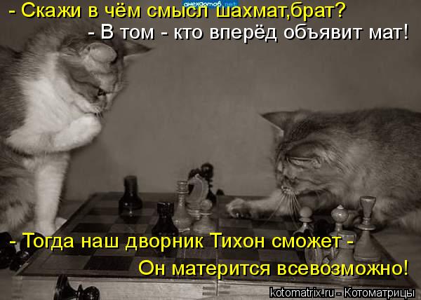 - Скажи в чём смысл шахмат,брат? - В том - кто вперёд объявит мат! - Тогда наш дворник Тихон сможет -... Котоматрица: - Скажи в чём смысл шахмат,брат? - В том - кто вперёд объявит мат! - Тогда наш дворник Тихон сможет - Он матерится всевозможно!